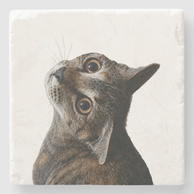 Artistic Tabby Cat Portrait Photo Stone Coaster (Front)