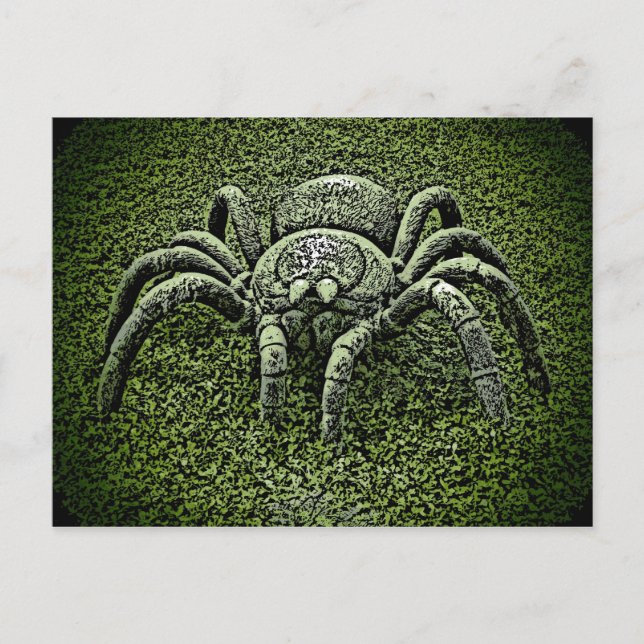 Artistic Tarantula spider postcard (Front)