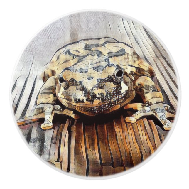 Artistic Tree Frog Decorative Ceramic Knobs (Front)