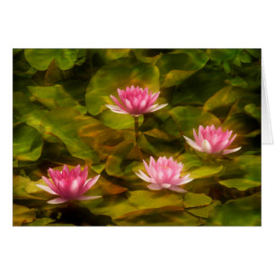 Artistic water lilies, California