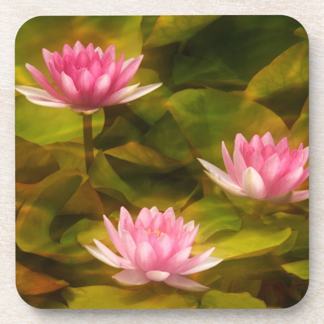 Artistic water lilies, California Coaster (Front)