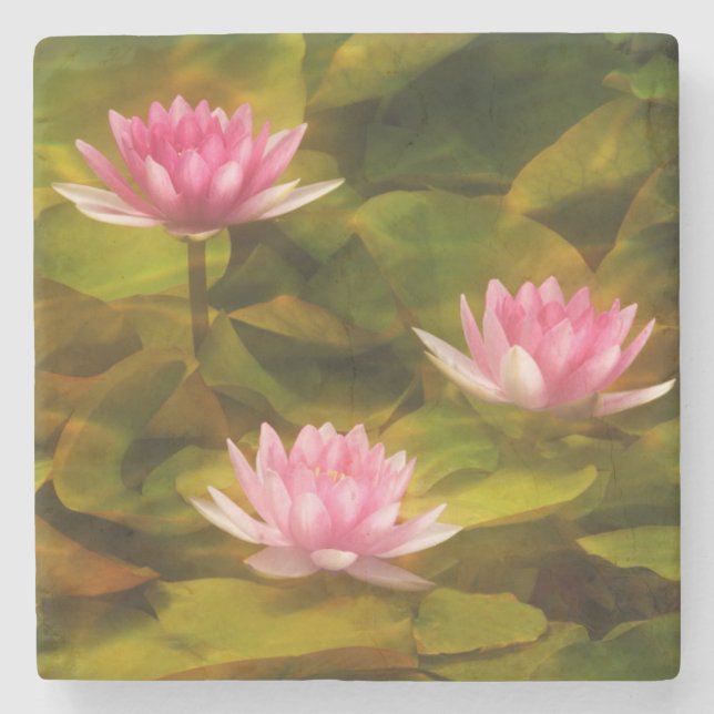 Artistic water lilies, California Stone Coaster (Front)
