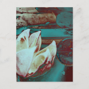 Artistic Water Lilly in Red and Blue Postcard