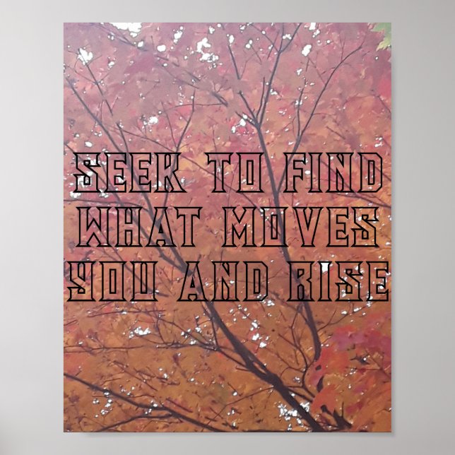 Artistry Print, Value Poster Paper (Matte) (Front)