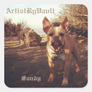 ArtistRyVavlt Sandy Sticker