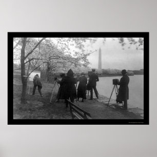Artists and Cherry Trees in Washington, DC 1920 Poster