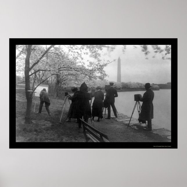 Artists and Cherry Trees in Washington, DC 1920 Poster (Front)