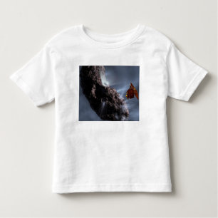 Artist's concept of Deep Impact's Encounter Toddler T-Shirt