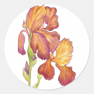 Artist's Iris Sticker