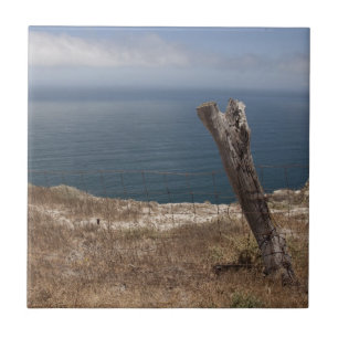 Artist's Retreat Tile