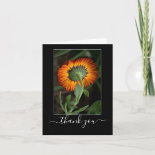 Artists Series: Orange Floral Art Thank you Note Card