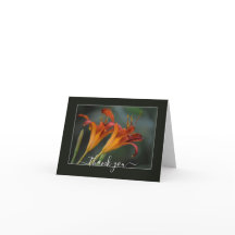 Artists Series: Orange Lilies Art Thank you