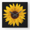 Arts Sunflower stylish Textur