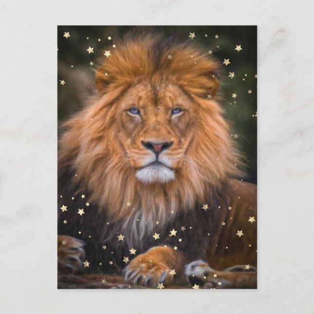 *~* Artsy AP23 Artistic Celestial  SOFT Brown LION Postcard (Front)