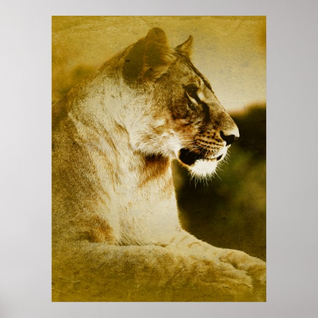 *~* Artsy AP23 Artistic Watercolor Golden LIONESS Poster (Front)