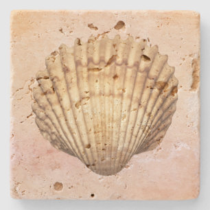 Artsy seashell watercolor artwork Nautical Cute Stone Coaster