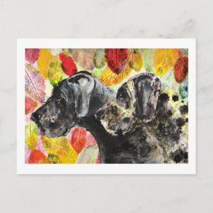 ARtwork Great Dane dogs Postcard