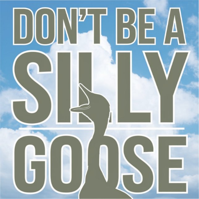  Artwork Illustration Don't Be A Silly Goose (Front)