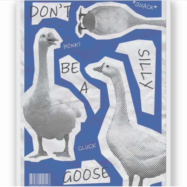  Artwork Illustration Don't Be A Silly Goose (Front)