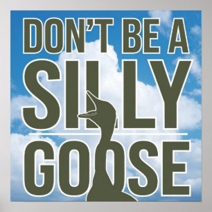  Artwork Illustration Don't Be A Silly Goose Poster