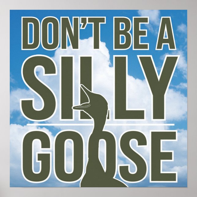  Artwork Illustration Don't Be A Silly Goose Poster (Front)
