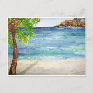 Aruba  Beach with Palm Tree Postcard