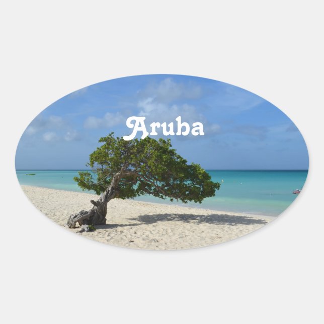 Aruba Divi Divi Tree Oval Sticker (Front)
