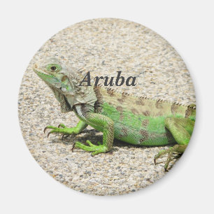Aruba Green Iguana Magnet