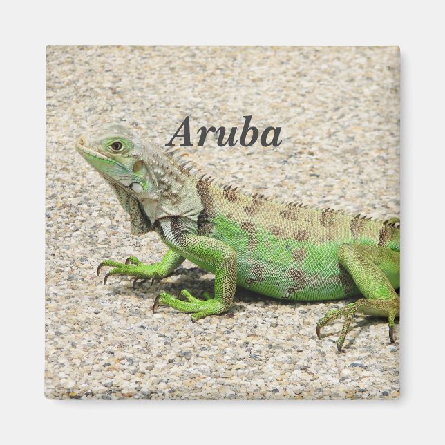 Aruba Green Iguana Magnet (Front)