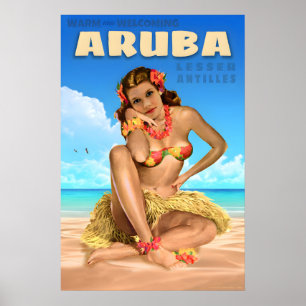 Aruba Lesser Antilles Travel Poster Sea Eagle