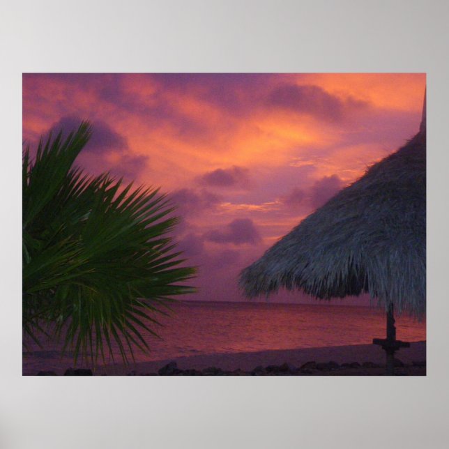 Aruba Poster (Front)