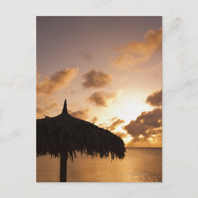 Aruba, silhouette of palapa on beach at sunset postcard (Front)