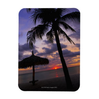 Aruba, silhouette of palm tree and palapa on magnet