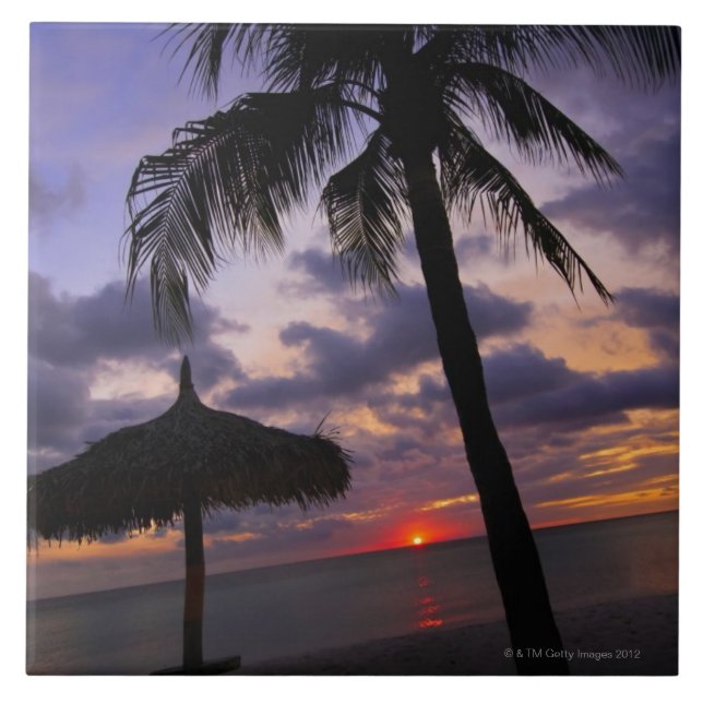 Aruba, silhouette of palm tree and palapa on tile (Front)