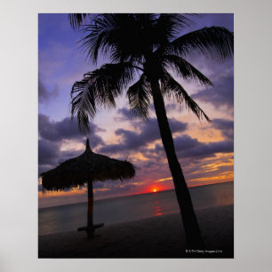 Aruba, silhouette of palm tree and palapa poster