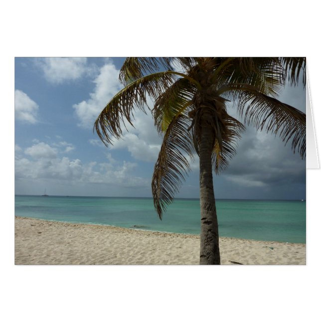 Aruban Beach I Beautiful Nature Scene (Front Horizontal)