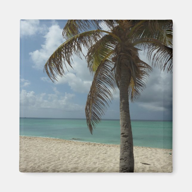 Aruban Beach I Beautiful Nature Scene Magnet (Front)