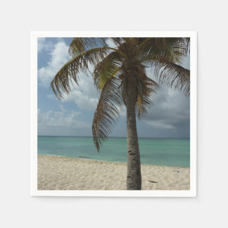 Aruban Beach I Beautiful Nature Scene Napkin