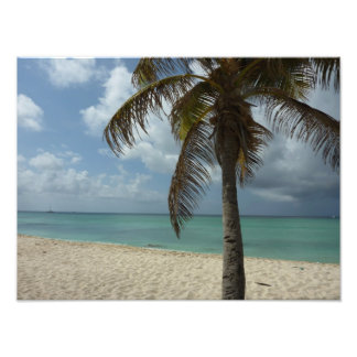 Aruban Beach I Beautiful Nature Scene Photo Print