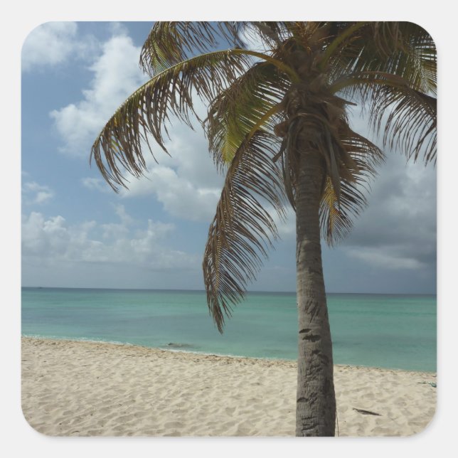 Aruban Beach I Beautiful Nature Scene Square Sticker (Front)