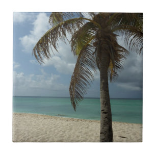 Aruban Beach I Beautiful Nature Scene Tile