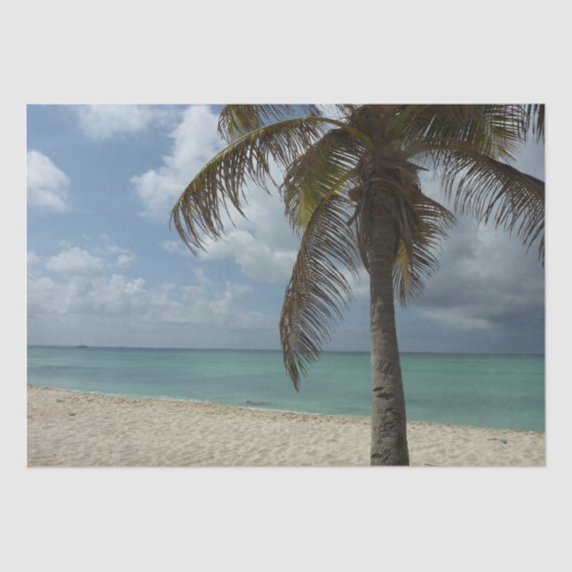 Aruban Beach I Beautiful Nature Scene Tissue Paper (Front)