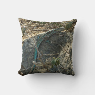 Aruban Whiptail Lizard Tropical Animal Photography Cushion