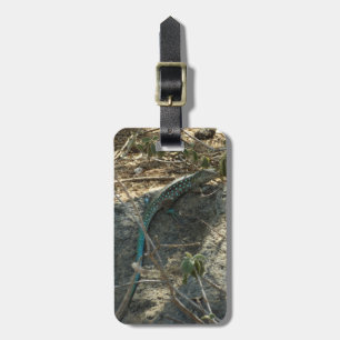 Aruban Whiptail Lizard Tropical Animal Photography Luggage Tag