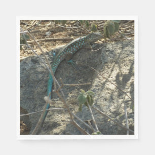 Aruban Whiptail Lizard Tropical Animal Photography Napkin