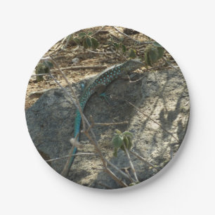 Aruban Whiptail Lizard Tropical Animal Photography Paper Plate