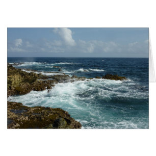 Aruba's Rocky Coast and Blue Ocean