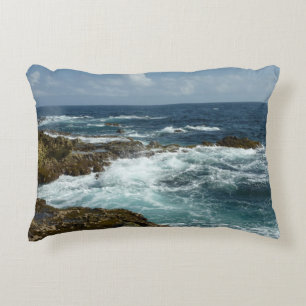 Aruba's Rocky Coast and Blue Ocean Decorative Cushion