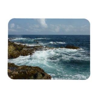 Aruba's Rocky Coast and Blue Ocean Magnet