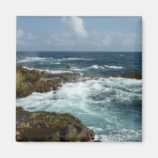 Aruba's Rocky Coast and Blue Ocean Magnet